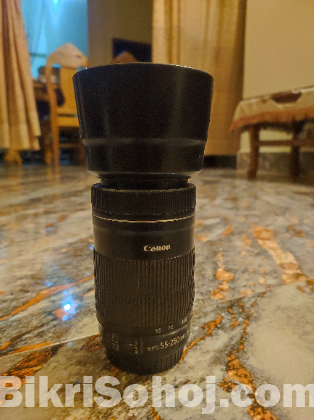 Canon 55mm-250mm stm zoom lens